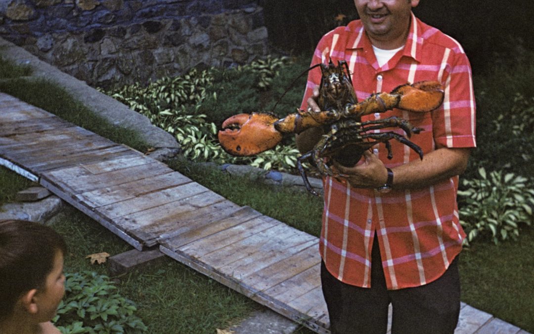 The Ten Pound Lobster, 1971